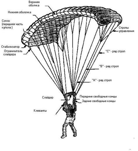 Decoding The Mechanics Of Parachute With A Free Body Diagram