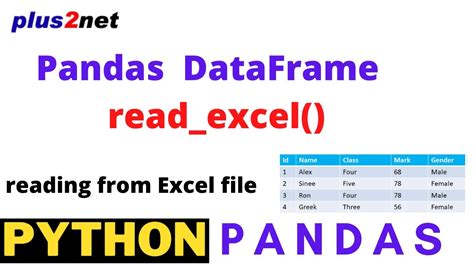 Python Dataframe Read Excel File Catalog Library