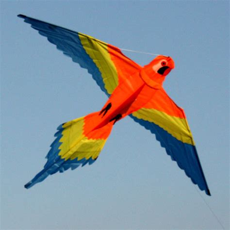 Bird Kite Leading Edge Kites Bird Shaped Single String Kids Kite