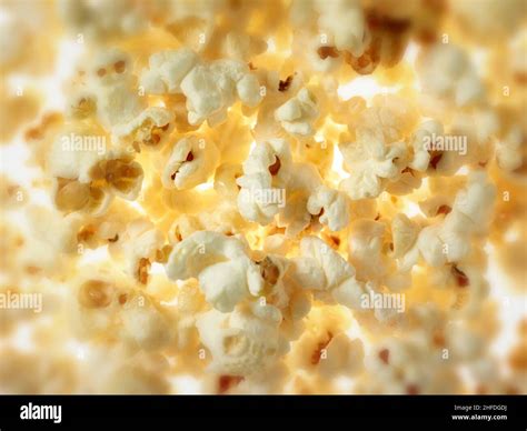 Macro Food Still Life Representation Of Popcorn Popped Corn Popcorns