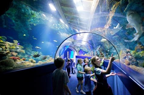 Home - Hastings Aquarium