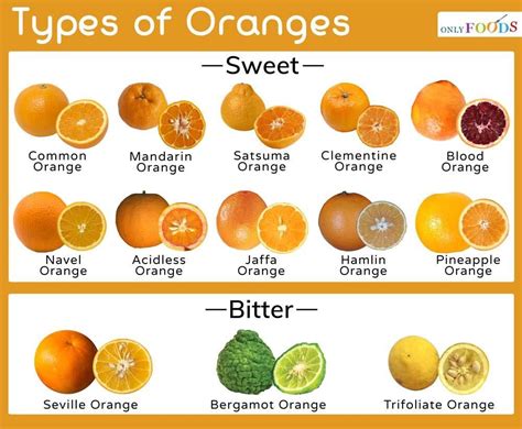 Types Of Oranges, Oranges And Lemons, Bitter Orange, Blood Orange ...