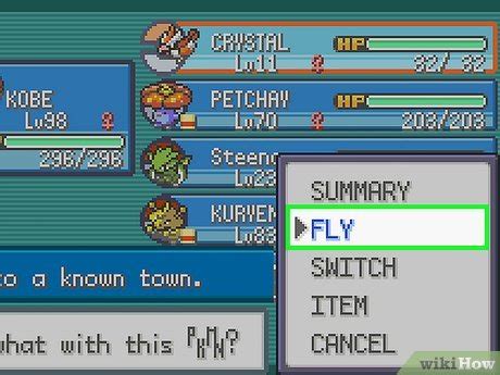 How to Get Fly in Pokémon FireRed 8 Steps with Pictures