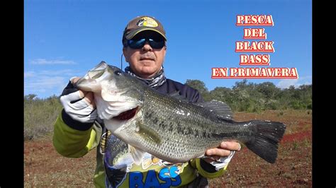 Pesca Del Black Bass En Primavera Youtube