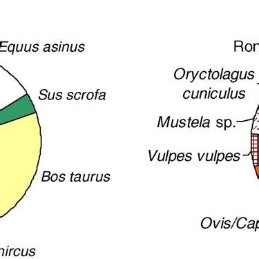 Composition Taxinomique De La Baume Du Houx NR Nombre De Restes NMI