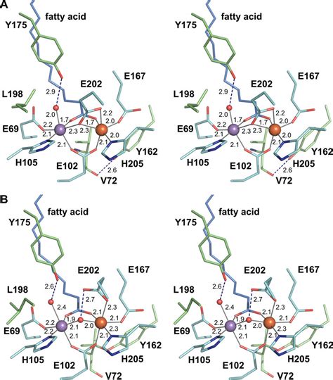 Stereo View Of The Active Site Of R2lox In The Nonactivated Reduced A