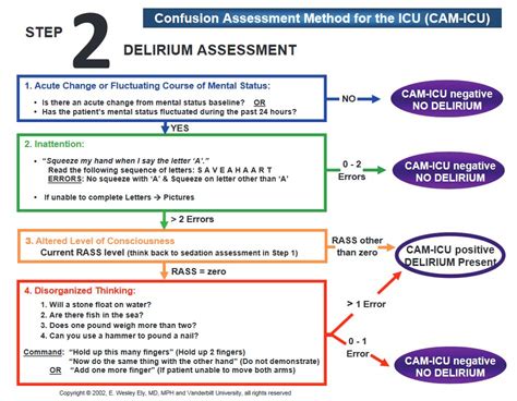 Cam Icu Critical Care Practitioner