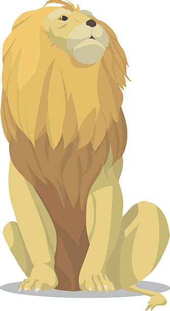 Sitting Lion Illustrations Royalty Free Vector Graphics And Clip Art