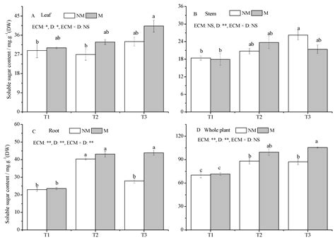 Effect Of Ectomycorrhizal Fungi On The Drought Resistance Of Pinus