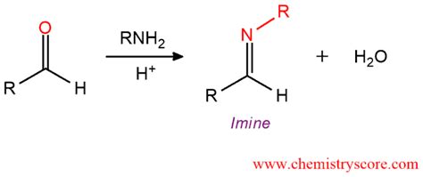 Imine Formation [rnh2] Chemistryscore