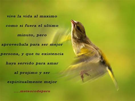 Retiro Espiritual Frases