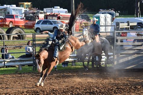 Jackson County Junior Fair | All Events — Jackson County Junior Fair