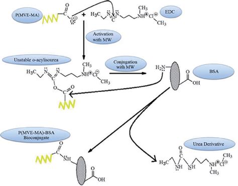 Scheme Microwave Assisted Covalent Conjugation Reaction Scheme Of