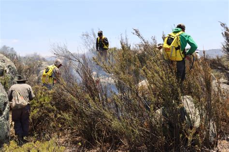 Arequipa Incendio Forestal En S Ndor Deja M S De Hect Reas De