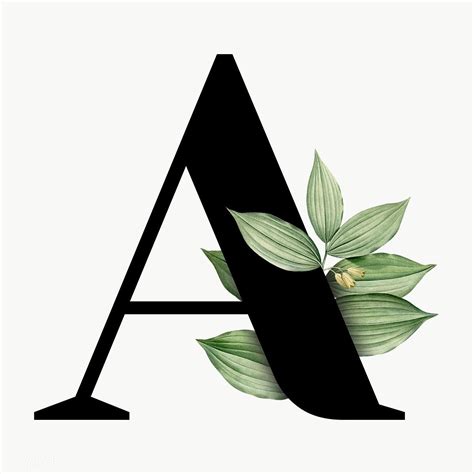 Botanical Capital Letter A Transparent Png Premium Image By Rawpixel