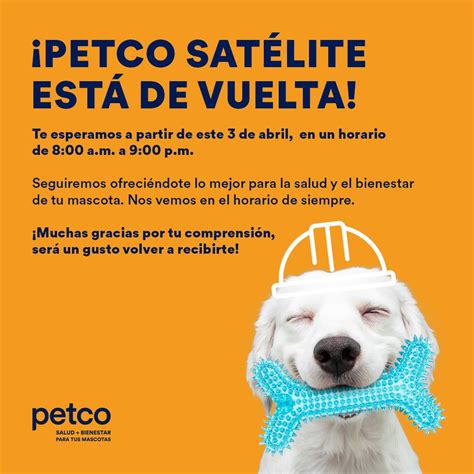 Petcomexico On Twitter Ya Estamos Listos Para Recibirte De Nuevo En