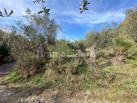 Terreno Agricolo Via Intercomunale Di Valenza Castel San Pietro