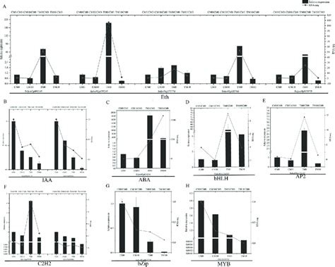 Accompanied By Rna Seq Data Verification Of Phytohormones And Download Scientific Diagram