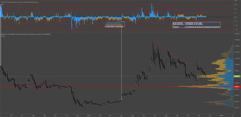 Willy Woo Identify Long Short Saturation For Bitmex Xbtusd P By