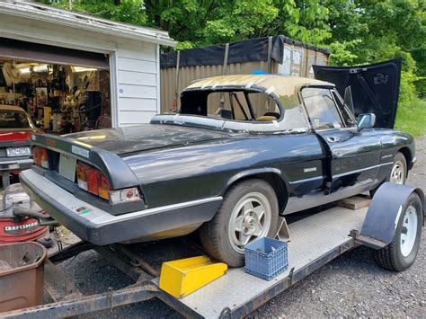 Alfa Spider Rear Barn Finds