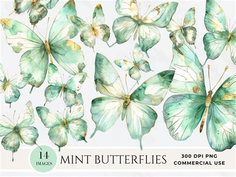 Mint Green Gold Butterflies Clipart Watercolor Butterfly And Flower