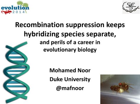 PDF Recombination Suppression Helps Hybridizing Species Persist And