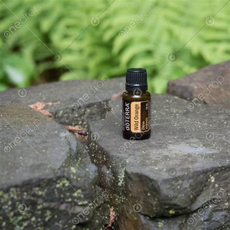 Dōterra Wild Orange Essential Oil Outdoor Setting By Sally Sosler