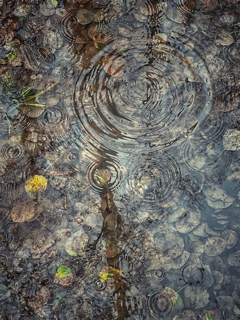 Puddle Rain Leaves Free Photo On Pixabay Pixabay