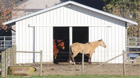 Best Small Horse Barn Designs