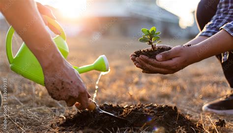 Two Men Are Planting Trees And Watering Them To Help Increase Oxygen In The Air Save World Save