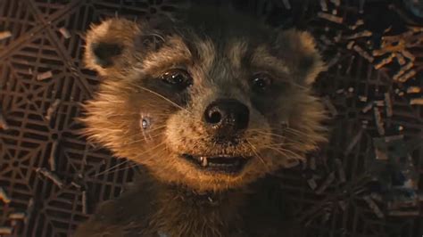 Guardians Vol 3 Finally Reveals How Rocket Got His Name If He S A