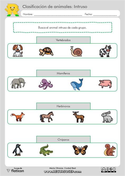 Clasificación De Animales El Animal Intruso