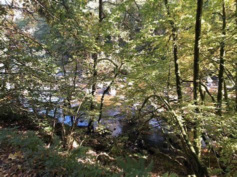 Ruta Oto Al Por Dunkeld Y The Hermitage En Perthshire Escocia Sin