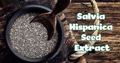 Salvia Hispanica Seed Extract Chi T Xu T H T Chia Trong M Ph M