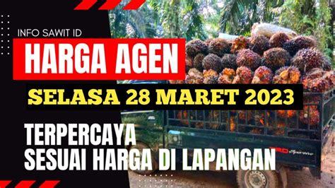 Harga Sawit Hari Ini Di Agen Terbaru Maret Youtube