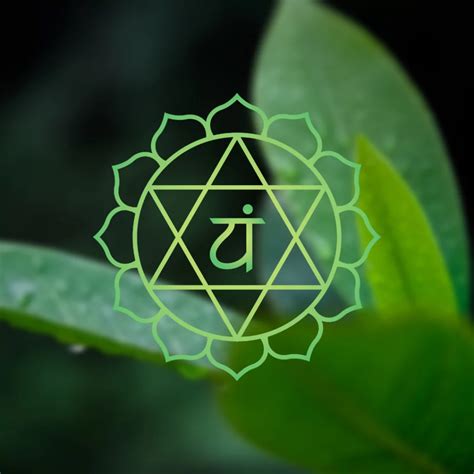 Das Herzchakra Anahata Alle Informationen Eigenschaften