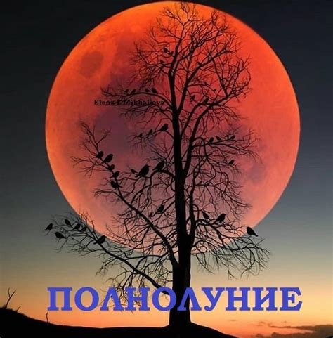 ПОЛНОЛУНИЕ В АВГУСТЕ 2021 года: 22 числа. В этом месяце полнолуние ...