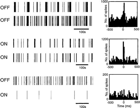 Examples Of Spike Activity Of Simultaneously Recorded Pairs Of Rgcs