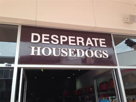 Ah Yes My Favourite Tv Show Rfunny