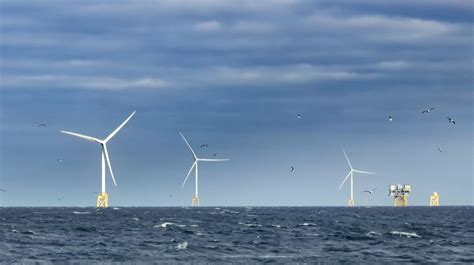 Neart Na Gaoithe Offshore Wind Farm Generates First Power Edf Renewables