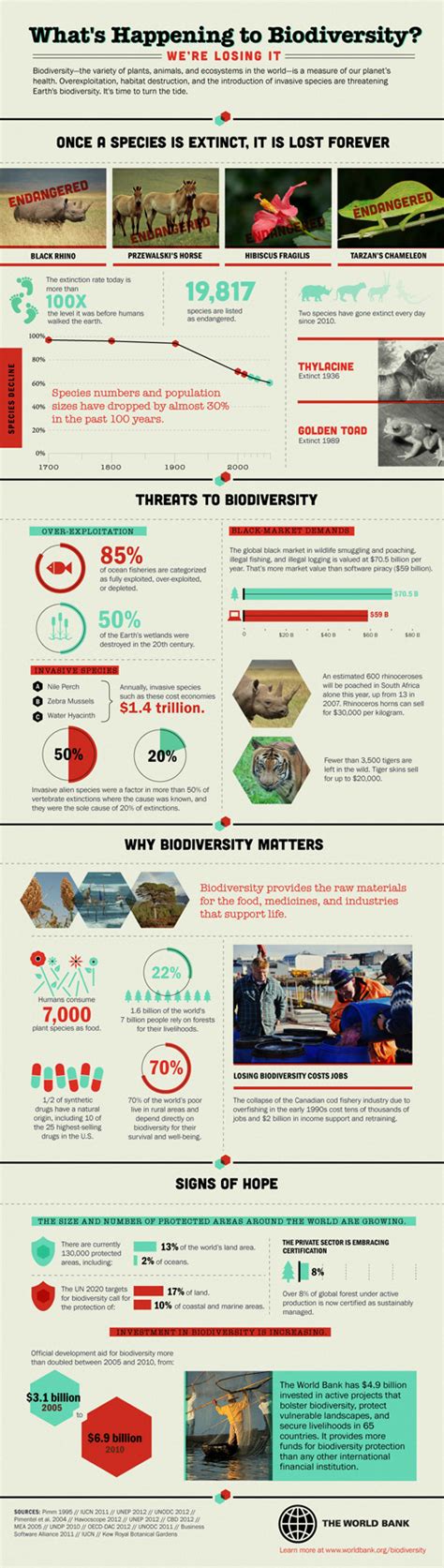 Infographic Whats Happening To Biodiversity