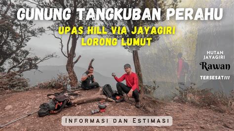 Upas Hill Gunung Tangkuban Perahu Via Jayagiri Dan Lorong Lumut Free