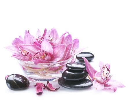 Bộ Sưu Tập Hình Ảnh Spa Siêu Đẹp Hơn 999 Hình Ảnh Spa Chất Lượng Cao 4k