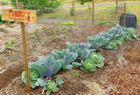 Composting: A smart gardening practice to recycle garden and yard waste ...