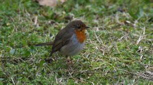 Biodiversité Cest ouvert à tous et si vous participiez au