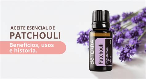 Aceite Esencial De Pachul Origen Historia Beneficios Y Usos