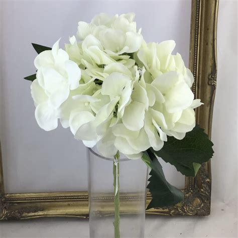 Heidi Single Hydrangea Ivory Village Green