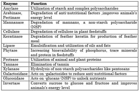 Importance Of Feed Enzymes For Shrimp And Fishin Sustainable