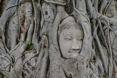 Goldner Buddha Bild Als Fotoprodukt Bestellen Fototapete Ch