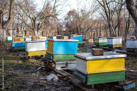 Preparing Bees For Wintering Hives On Apiary In December In Europe